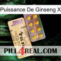 Ginseng Power X new06